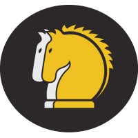 2Stallions Digital Marke | Agency Vista