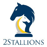 2Stallions Digital Marketing Agency | Agency Vista