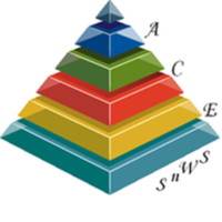 ACE Software n Web Solutions | Agency Vista