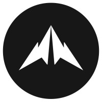 Aelieve Digital Marketing | Agency Vista