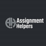Assignment Helpers NZ | Agency Vista