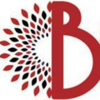 Ballistic Media Group | Agency Vista