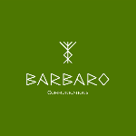 Barbaro communications | Agency Vista