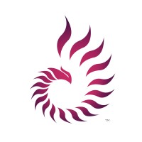 Benu Creative | Agency Vista