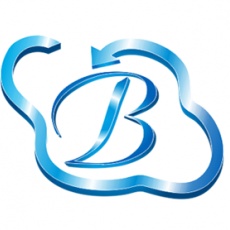 Bhavitra Technologies Private Limited | Agency Vista