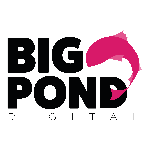 Big Pond Digital | Agency Vista