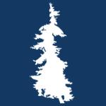 Blackwoods Web Development | Agency Vista