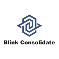 Blink Consolidate | Agency Vista