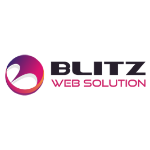 Blitz Web Solution | Agency Vista
