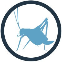 Blue Cricket Media | Agency Vista