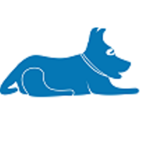 Blue Lacy SEO | Agency Vista