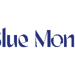 Blue Monk Advertising Agency | Agency Vista