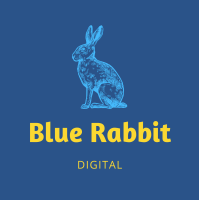 Blue Rabbit Digital | Agency Vista