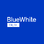 BlueWhite Digital | Agency Vista