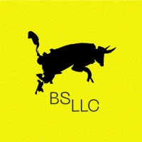BS LLC - Strategy, Branding, & Marketing | Agency Vista