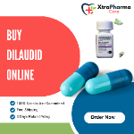 Buy Dilaudid Online Quick shipping services | Agency Vista