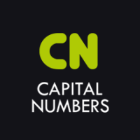 Capital Numbers | Agency Vista