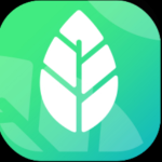 Color Leaves | Agency Vista