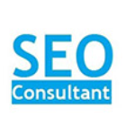 ConsultantSEOServices | Agency Vista