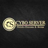 CyboServer | Agency Vista