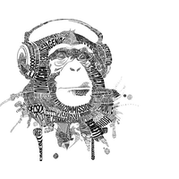 Design24 | Agency Vista