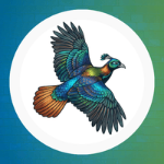 Doon Digital | Agency Vista