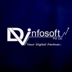 Dv Infosoft Pvt Ltd | Agency Vista