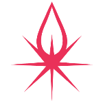 Fuel & Spark Media | Agency Vista