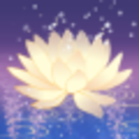 Goldlilys Media LLC | Agency Vista