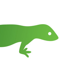 Green Gecko Digital | Agency Vista