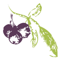 Huckleberry Branding | Agency Vista