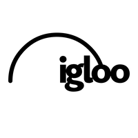 Igloo Vision | Agency Vista