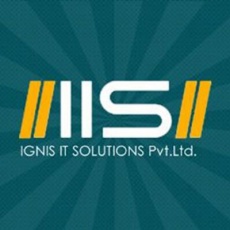 Ignis IT Solutions | Agency Vista