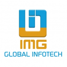 IMG Global Infotech Pvt. Ltd | Agency Vista