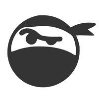 Intellectual Ninjas | digital marketing + web dev | Agency Vista