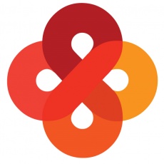 Interactive Strategies | Agency Vista