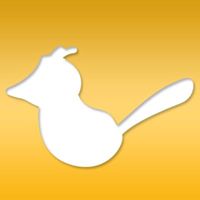 JaySocial | Agency Vista