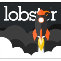 Lobster Digital Marketing Limited | Agency Vista