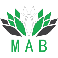 MAB Marketing Agency | Agency Vista