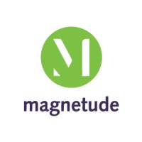 Magnetude Consulting | Agency Vista