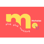 Mchelex Consulting | Agency Vista