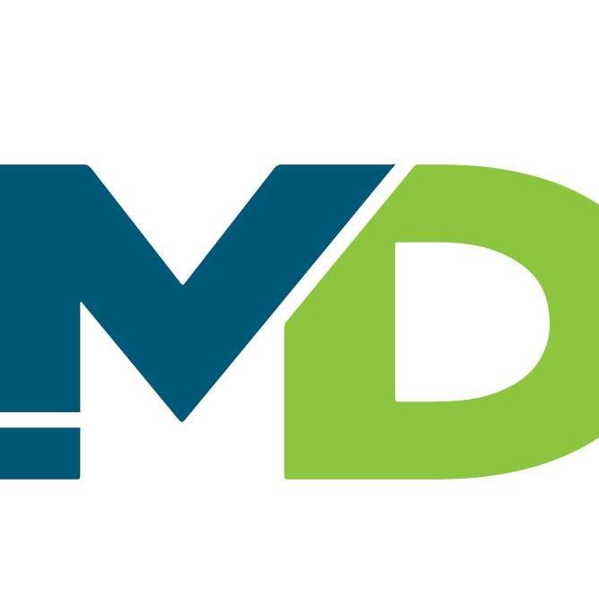 MD Strategic Consulting | Agency Vista