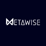 MetaWise Web3 Marketing | Agency Vista