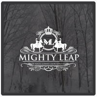 Mighty Leap | Agency Vista