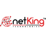 Netking Technologies | Agency Vista