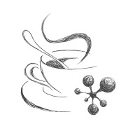 The Social Cafe | Agency Vista