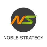 NOBLE STRATEGY | Agency Vista