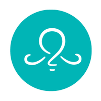 Octopus Creative Inc | Agency Vista