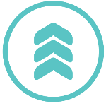 Oneupweb | Agency Vista