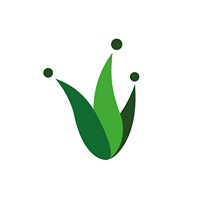 Perfect Fools | Agency Vista